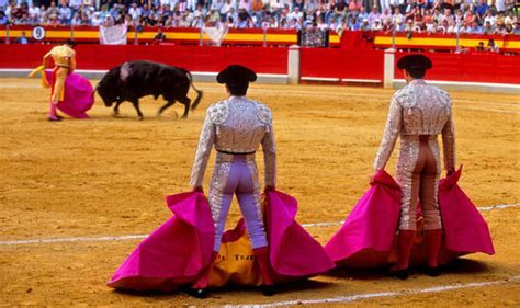 Death of second Spanish matador in less a year calls for bullfighting ...