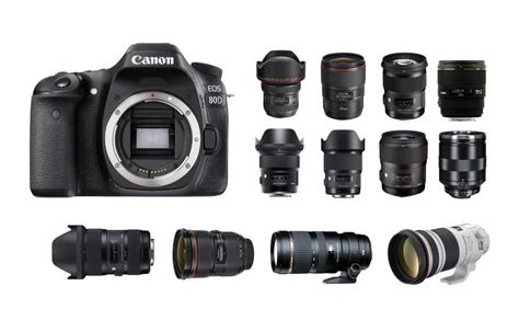 Best Lenses for Canon EOS 80D - Best Camera News