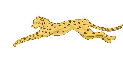 Cheetah Running Gif