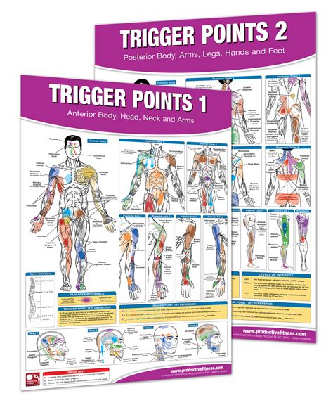 Buy Trigger Point Therapy Chart/ Set; Acupressure Charts - Myofascial ...