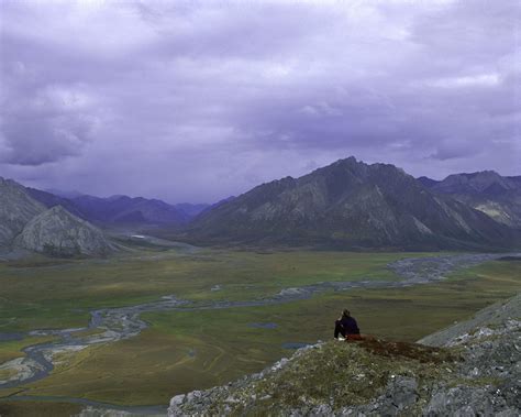 Arctic National Wildlife Refuge - Native American Rights Fund : Native ...