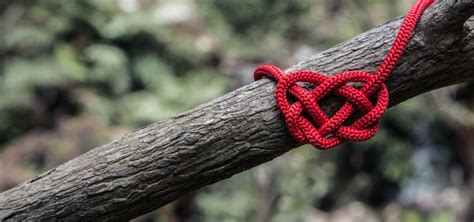 What is the Best Rope for Camping and Outdoor Use?