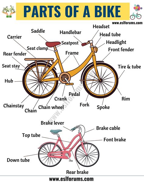 Bicycle Parts Diagram Detailed