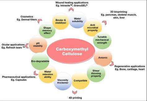 Carboxymethyl cellulose: properties and biological uses. (Adapted with ...