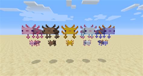 All the Axolotl variants from the new snapshot! : Minecraft