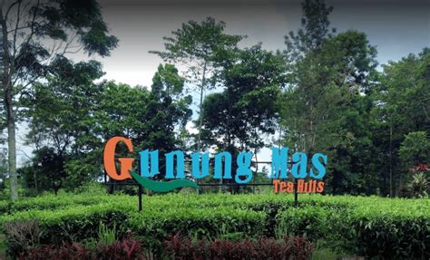 Agrowisata Gunung Mas, Puncak - Bogor Review