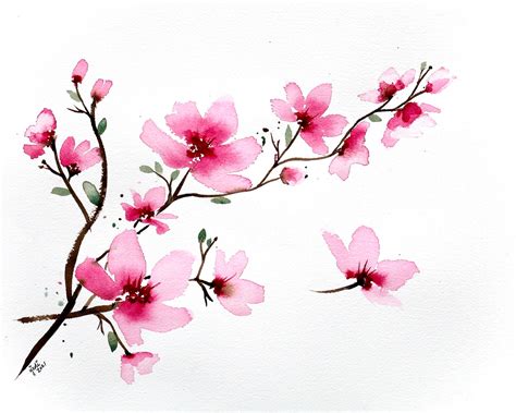 Spring Cherry Blossom Branch Watercolor Print of Original - Etsy