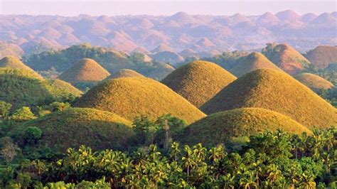 Bohol official says tourism code to address overpricing issues ...