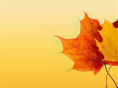 Fall Colors Backgrounds - Wallpaper Cave