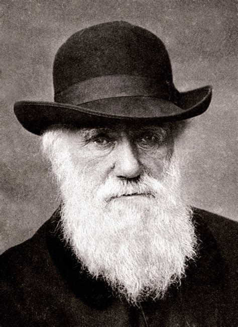 Darwinismo - Wikipedia, la enciclopedia libre