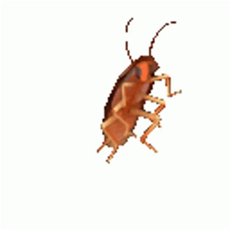 Roach Sticker - Roach - Discover & Share GIFs