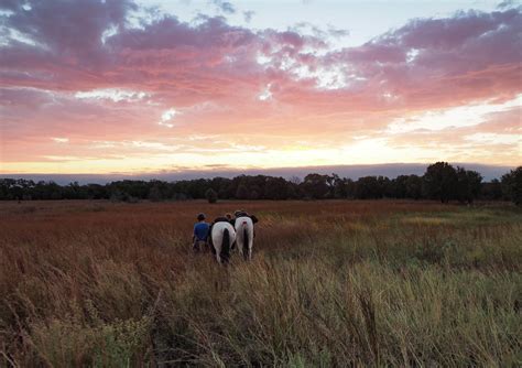 Discover the diversity of LBJ National Grasslands - Austin Travels Magazine