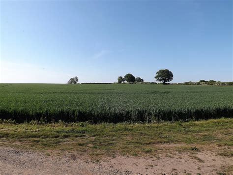 JJ's Wargames: Battle of Stoke Field, 16th June 1487