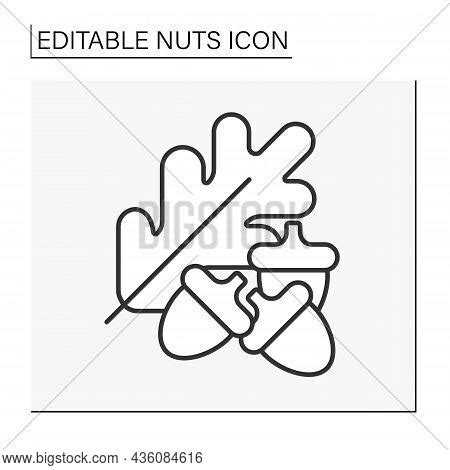 Acorns Line Icon. Vector & Photo (Free Trial) | Bigstock