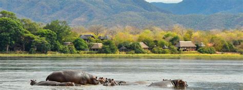 Royal Zambezi Lodge | Classic Lower Zambezi River Lodge