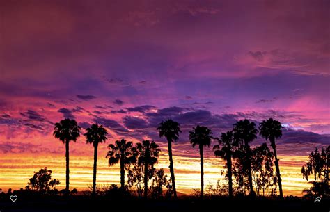 Top 10 Landscape Photographers in Palm Springs | Giggster Guide