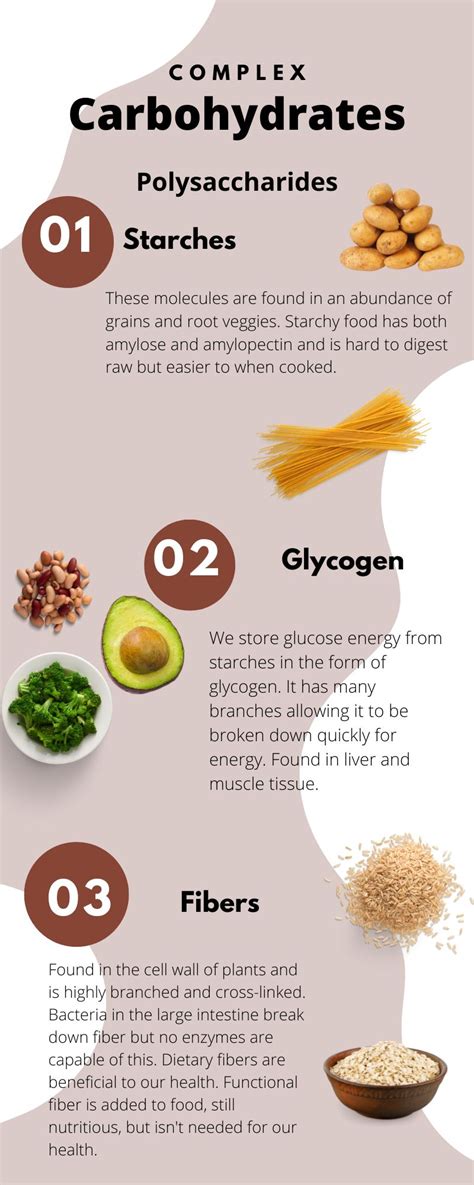 5.4 Complex Carbohydrates – Nutrition and Physical Fitness