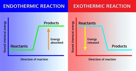 Endothermic and Exothermic Reactions Lab ⋆ iTeachly.com | Exothermic ...