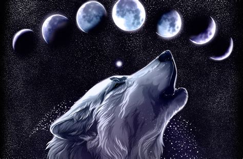 Wolf Backgrounds - Wallpaper Cave