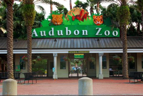 New Orleans Zoo one of the best zoos I've ever been to. It was a ...