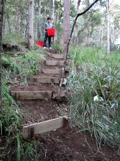 a man standing on top of a set of steps in the woods next to trees