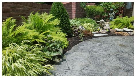 Courtyard Garden - Signature Landscapes And Design