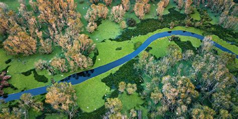 #3 main types of forest in Vietnam: Jungle, Mangrove and National park