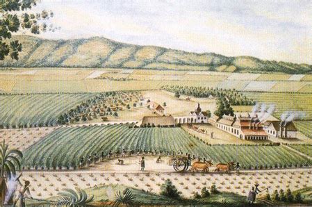 plantations in georgia in the 1800s