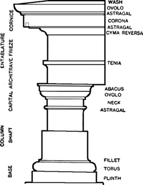 Tuscan column | Article about Tuscan column by The Free Dictionary