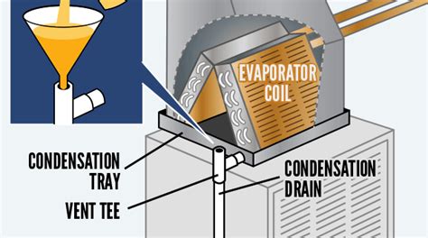 How to Clean Your AC Condensate Drain Line With Vinegar | The Health Coach