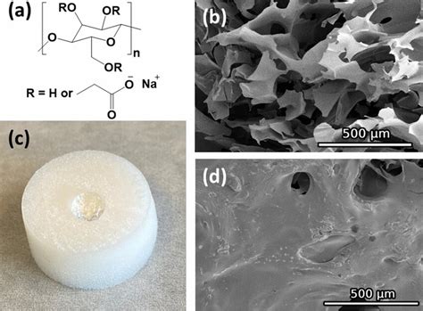 a Chemical structure of carboxymethyl cellulose (CMC); b SEM image of a ...