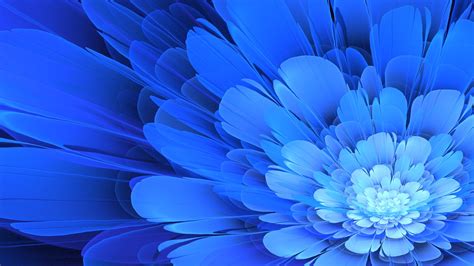 Blue Flower Desktop Wallpaper