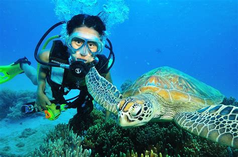 How to diving the Great Barrier Reef in Cairns