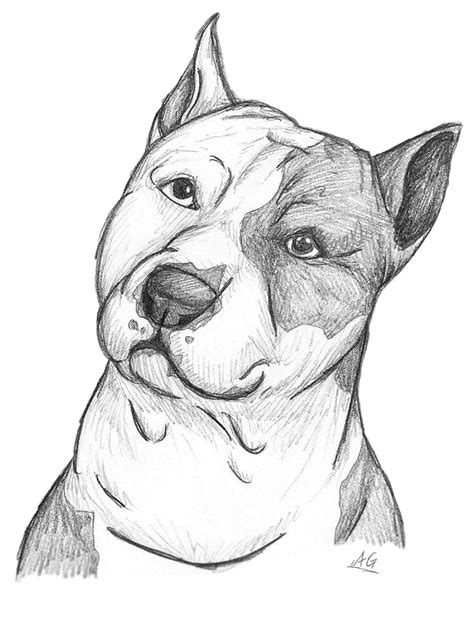 Para my perrito draco | Animal drawings sketches, Animal drawings, Art ...