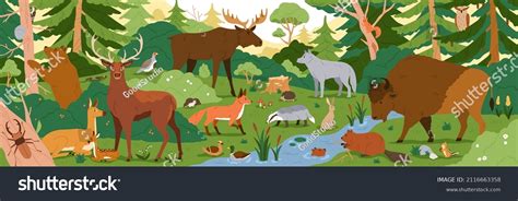 Forest Animals Wild Nature Environment Landscape Stock Vector (Royalty ...