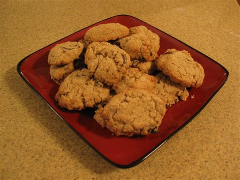 Oatmeal Raisin Cookies With Stevia | Oatmeal raisin cookies, Stevia ...