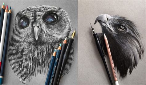 Stunning Animals Realistic Pencil Drawing by Jonathan Martinez ...