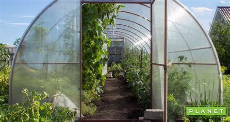 The Best Greenhouse Materials: Which Should I Choose? – Planet Greenhouse