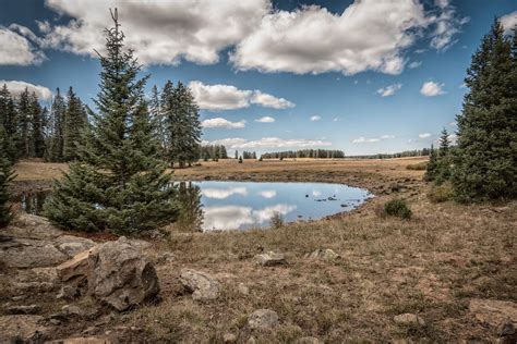 Mesa Lakes – Mesa-Collbran, CO | Grand Mesa National Forest