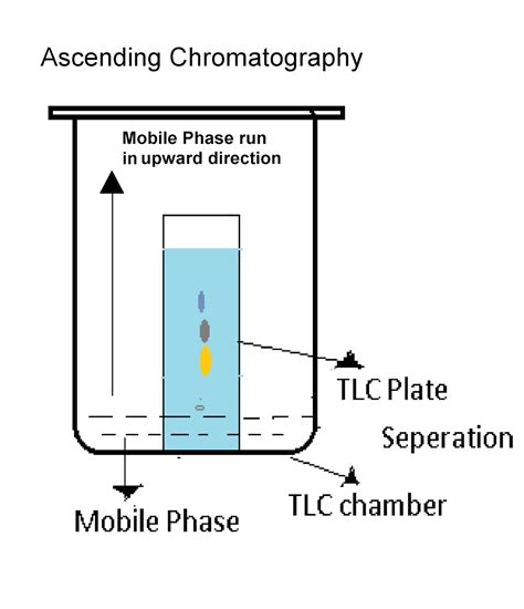 Tlc Chromatography Diagram