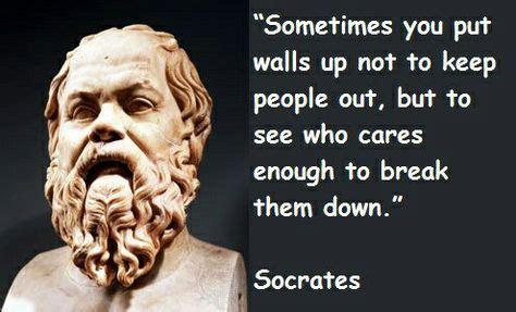 42 Socrates Quotes ideas in 2021 | socrates quotes, socrates, quotes