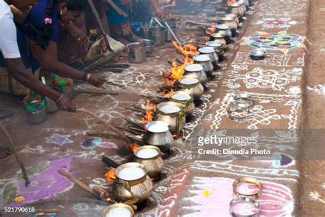 926 Tamil Festival Pongal Stock Photos, High-Res Pictures, and Images ...