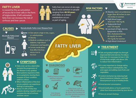 103 best images about LIVER on Pinterest | Celery, Health and Liver ...