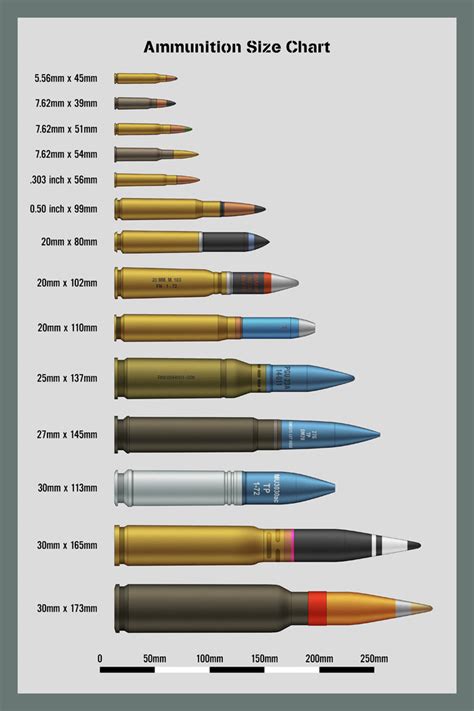 Ammo and Gun Collector: Ammo Size Comparison Charts