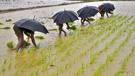 Indian Monsoon To Hit 98% Of Its Long-Term Average In 2017, Predicts ...