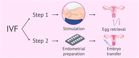 How Does the Frozen Embryo Transfer (FET) Procedure Work?