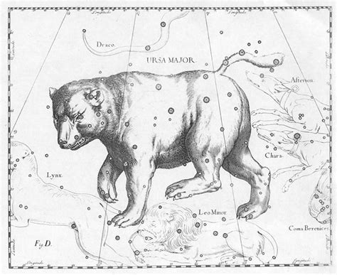 Ursa Major | Constellation drawing, Ursa major, Constellations