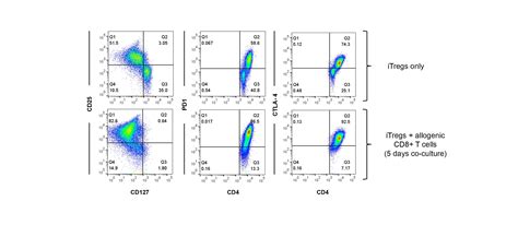 Human Regulatory T Cells (Tregs)| Charles River