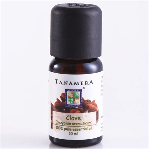 Essential Oil Clove – Tanamera