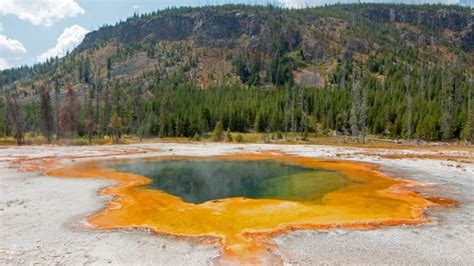 Archaea: Definition, Characteristics, Classification and Importance ...